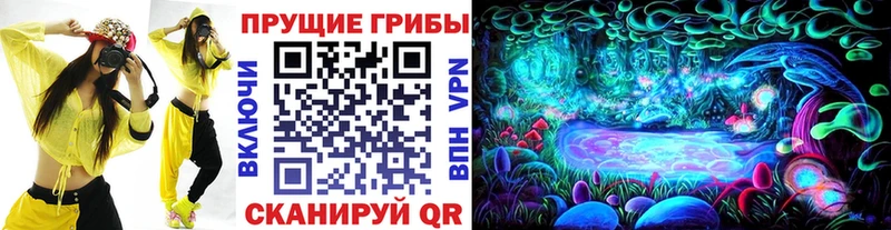 где продают наркотики  Сорочинск  Псилоцибиновые грибы Cubensis 